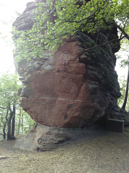 Napoleonsteig 2017